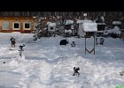 BDS-Wanderpokal-2013-014