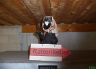 BDS-Wanderpokal-2013-056